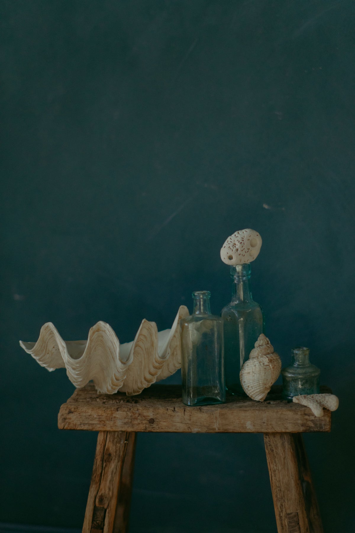 Still life styling by Ida Jacobsson-Wells, featuring shells and vintage glass bottles